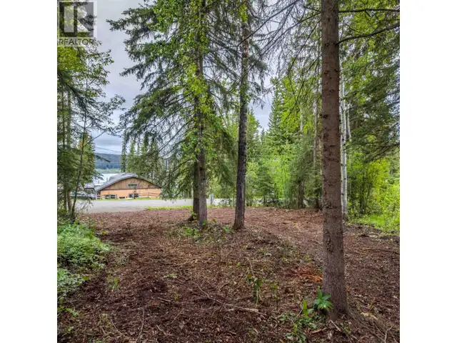 LOT 81 MULLIGAN DRIVE Horse Lake, British Columbia in Land for Sale in 100 Mile House - Image 10