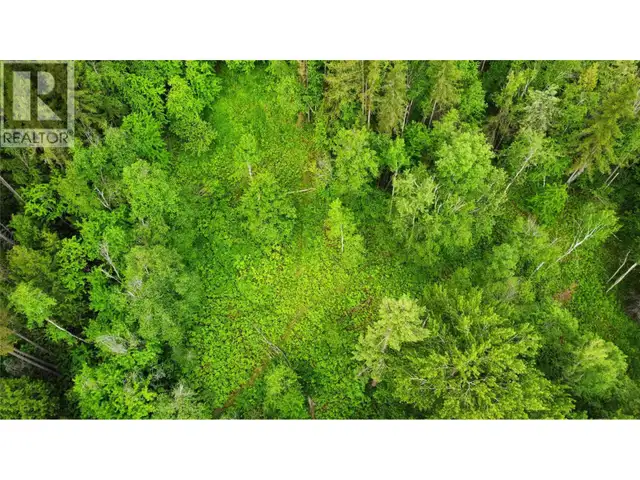 Arrow Lake 10 Lot Package Arrow Lakes Drive Castlegar, British C in Land for Sale in Nelson - Image 10