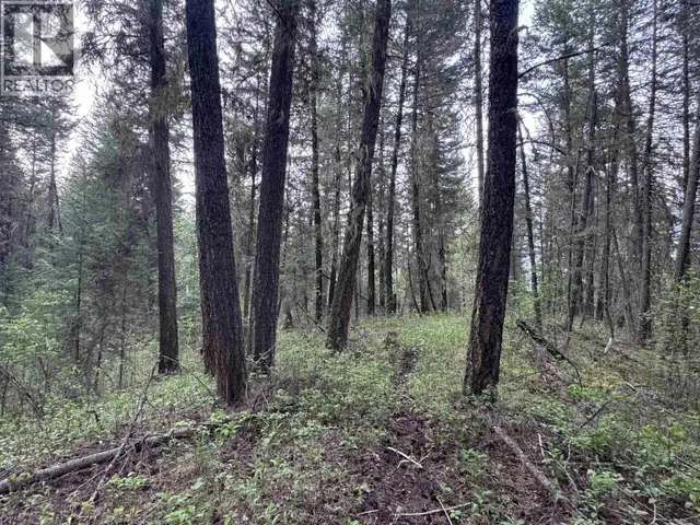 550 DOG CREEK ROAD Williams Lake, British Columbia in Land for Sale in Williams Lake - Image 4