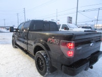 2014 Ford F-150 Vous vous souvenez de cette sensation d'accomplir des choses avec style? Ce Ford F-1... (image 5)