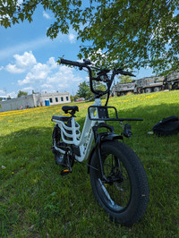 March Sale New 1000W Cargo Ebike 51 km/h 120km Range