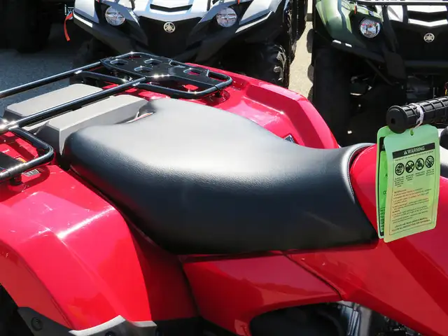 2024 Honda TRX700 Rubicon in ATVs in Cambridge - Image 8