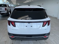 Stylish, efficient, and packed with modern technology, this 2024 Hyundai Tucson Preferred is a stand... (image 3)