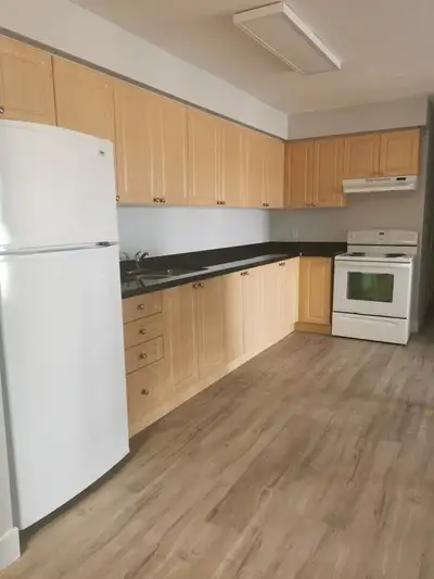 345 King St. Furnished Room  - Laurier & Waterloo Students