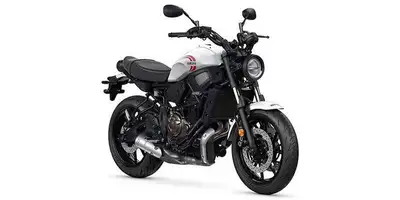 Welcome to Proline Motorsports and Marine Incorporated Inbound Factory Order! Reserve it TODAY!! Do...