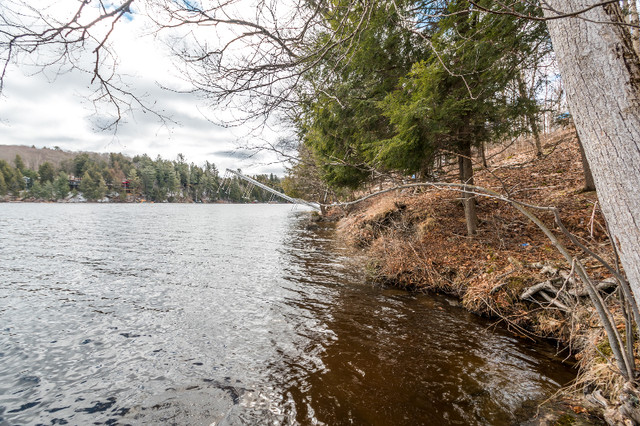 Rare offering of this 2+ acre waterfront lot in Land for Sale in Muskoka - Image 4