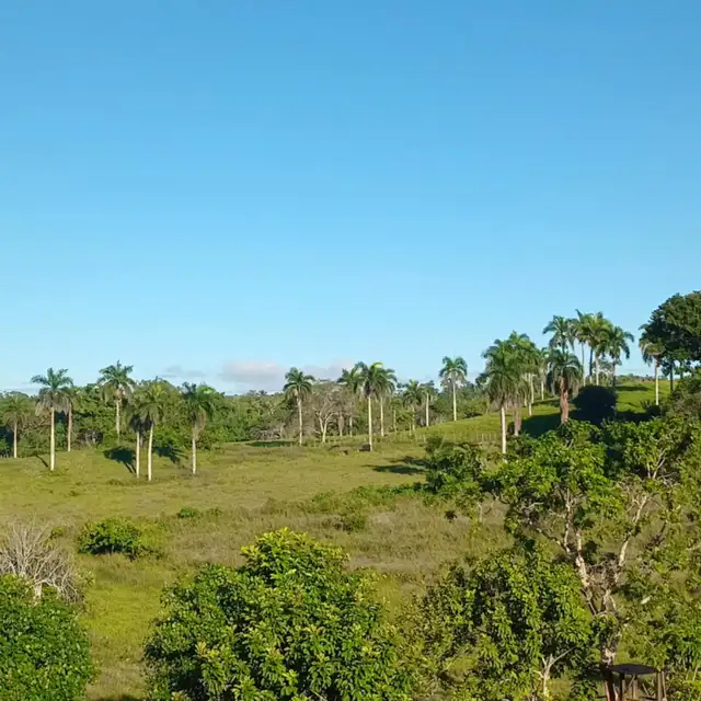 LAND (TERRAIN) DOMINICAN REPUBLIC62863796043778121