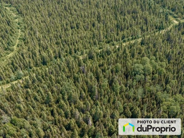 $98,500 - Wood Lot for sale in Ste-Perpetue-de-L'Islet — photo 2