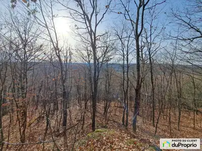 Caractéristiques : - Fibe internet - Arbres matures - Ruisseau à l'entrée du terrain - Privé, aucun...