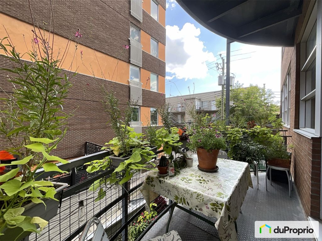 $609,000 - Condominium in Villeray / St-Michel / Parc-Extension — photo 2