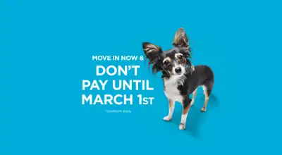 Broadstreet's Henderson Meadows offers 1, 2, and 3 bedroom pet friendly apartments for rent in the c...