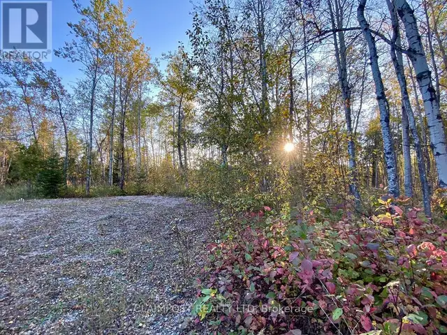 6524 HIGHWAY 11 HIGHWAY N Iroquois Falls, Ontario in Land for Sale in Timmins - Image 20