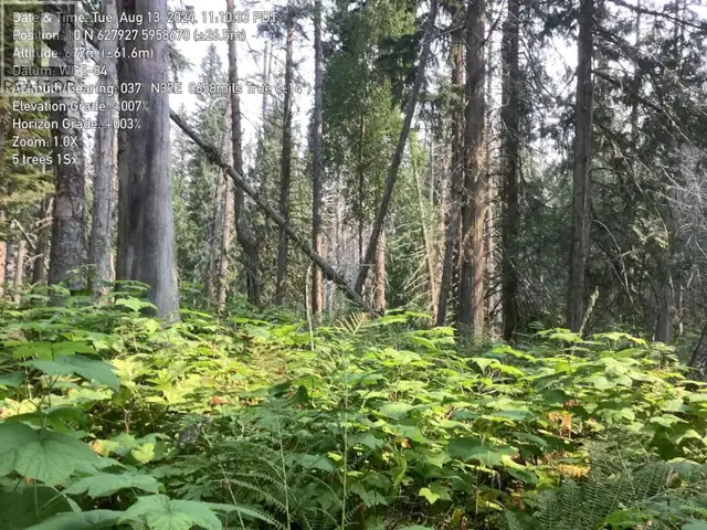 BLK D DOME CREEK Dome Creek, British Columbia in Houses for Sale in Quesnel - Image 12