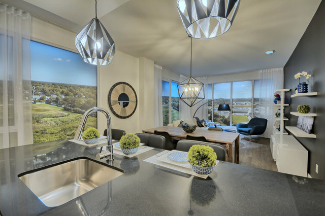 1451 chemin Gascon, Spacious 2-Bedroom Apartment for Rent dans Locations longue durée  à Laval/Rive Nord