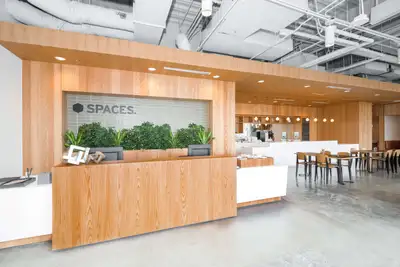 Have everything you need to facilitate new connections and build a business presence. Get a top-notc...