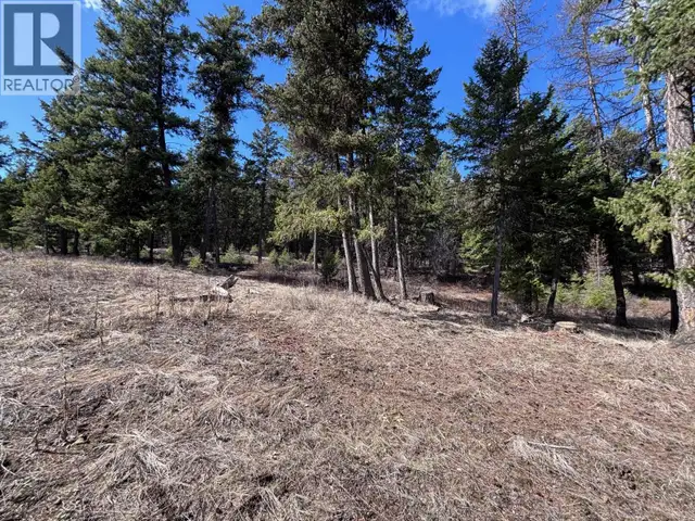 Lot 3 Hulme Creek Road Rock Creek, British Columbia in Land for Sale in Penticton - Image 6