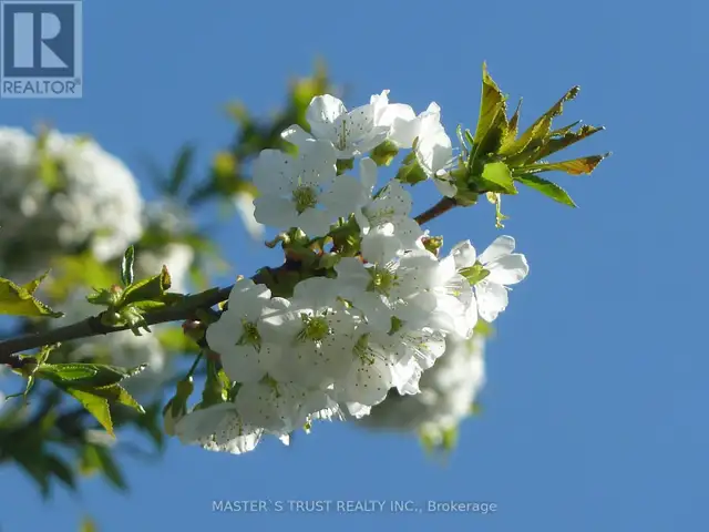 623 O' CONNOR DR DRIVE Toronto (East York), Ontario in Houses for Sale in City of Toronto - Image 5