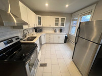 2 bedroom 1 bath newly renovated apartment for rent at Gage Park