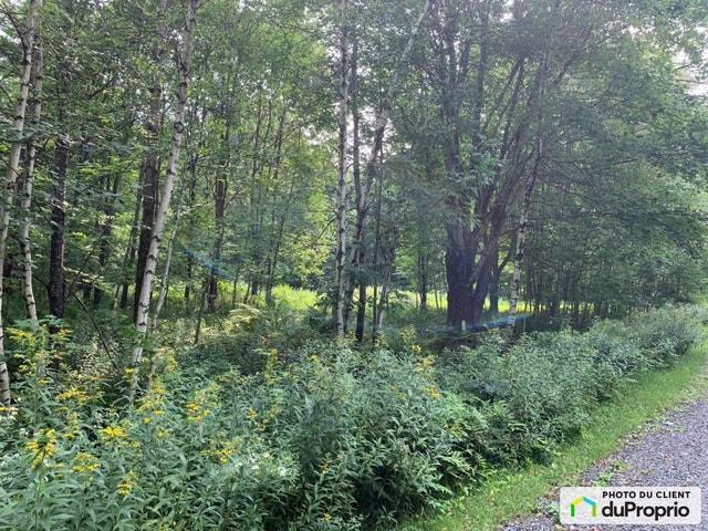 $290,000 - Residential Lot for sale in Sutton — photo 2
