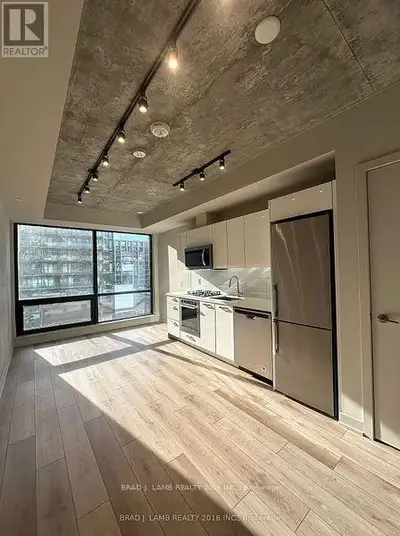 407 - 458 RICHMOND STREET W Toronto (Waterfront Communities), On