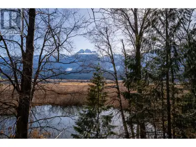A rare south facing .45 Acre Lot with a natural berm that protects the privacy of this lot that bord...