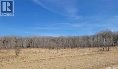 Lot 17 Eastshore Estates on Anderson Lake, Saltcoats, SK. 26 km east of Yorkton, SK. Lakefront Subdi...