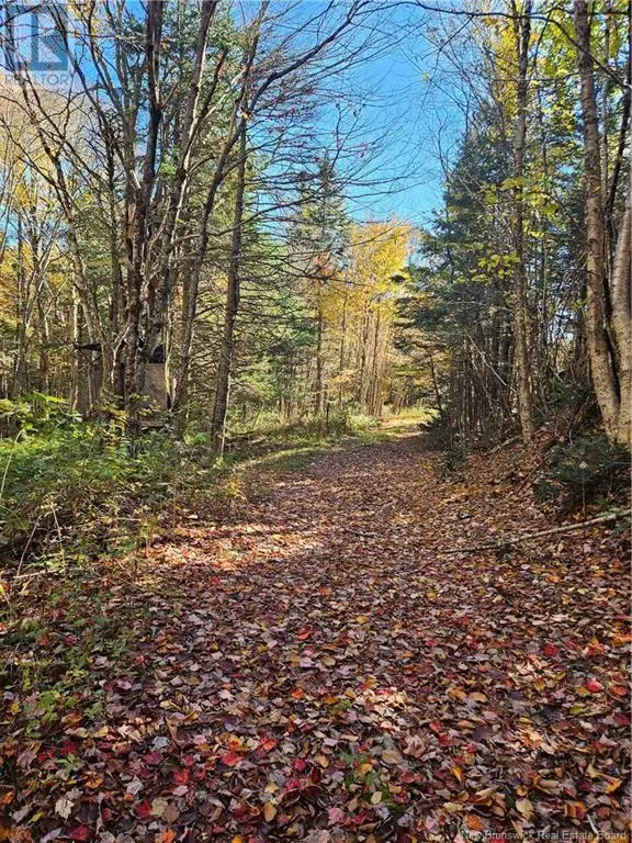 Lot Route 111 Bains Corner, New Brunswick in Land for Sale in Saint John - Image 8