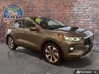 Welcome to Mann-Northway Auto Source. Command every journey in this sophisticated 2024 Ford Escape P... (image 7)