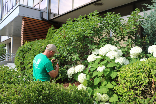 Hiring Gardeners - Apprenticeship Available! in Cleaning & Housekeeping in Calgary - Image 2