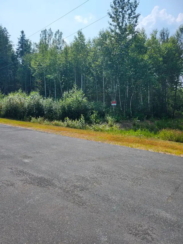TERRAIN DE COIN À VENDRE63417674225153124