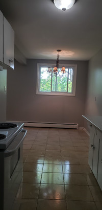 3 Bedroom Unit 20 on second floor with balcony is available immediately at 1250 Duke Street, Cambrid... (image 6)