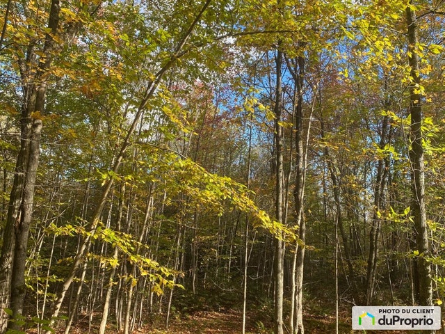 $149,900 - Residential Lot for sale in St-Colomban — photo 2