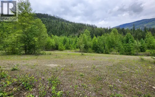 5360 6 Highway Rosebery, British Columbia in Land for Sale in Nelson - Image 10