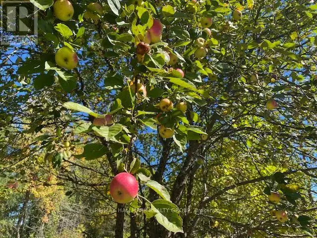 LOT 28 R13 ROAD Rideau Lakes, Ontario in Land for Sale in Ottawa - Image 18