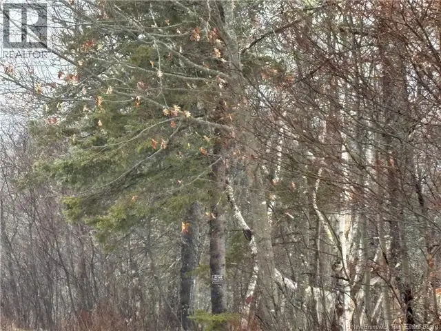 0 Route 127 Bayside, New Brunswick in Land for Sale in Saint John - Image 27