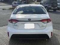 Tous nos véhicules d'occasions sont des RETOURS DE LOCATION ainsi les VÉHICULES DE NOS CLIENTS dont... (image 5)