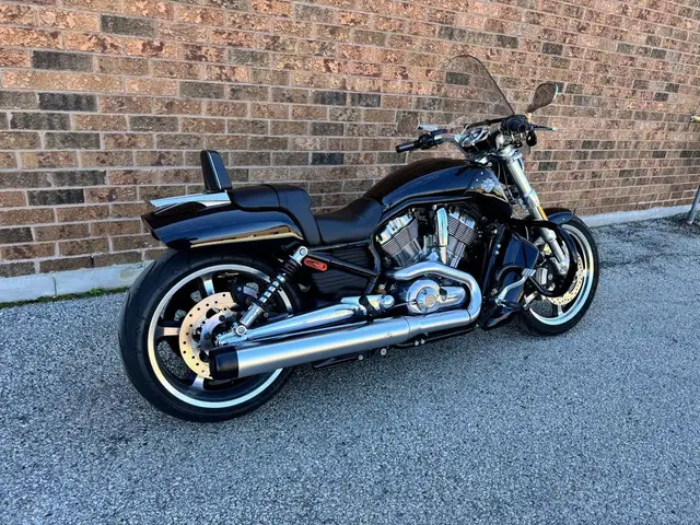 2010 Harley-Davidson V-Rod Muscle **LOW KMS** **EXTRAS** in Street, Cruisers & Choppers in Markham / York Region - Image 4