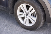 . (image 7)