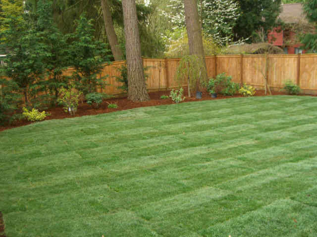 sodding service,kentucky blue grass install. delever 647 9362737 in Lawn, Tree Maintenance & Eavestrough in Oshawa / Durham Region - Image 3