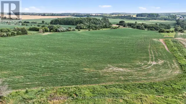 4495 LINE 11 Bradford West Gwillimbury, Ontario in Land for Sale in Barrie - Image 16