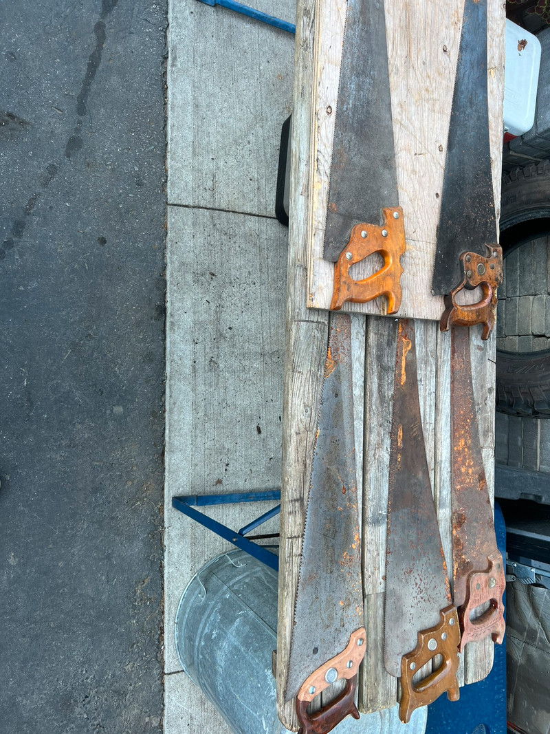 WARRANTED SUPERIOR ANTIQUE SAWS  for sale  