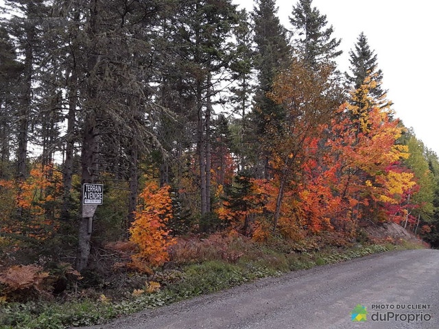 $80,000 - Price taxes not included - Residential Lot for sale — photo 2