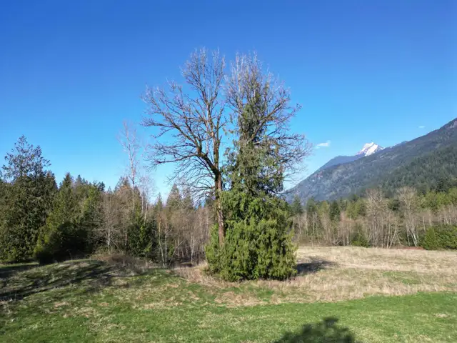 52300 ALLAN ROAD, Eastern Hillsides Chilliwack, British Columbia in Land for Sale in Chilliwack - Image 16