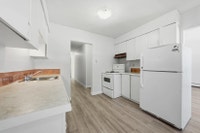 Amenities: Air Conditioning • Security Lights • Playground Suite & Building: Spacious bachelor, one-... (image 5)