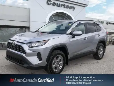 Clean Carfax! Redefine your daily commute and weekend adventures with the incredibly efficient 2025...