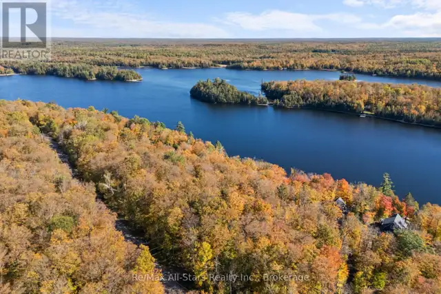 100 RUSSELL DRIVE Trent Lakes, Ontario in Land for Sale in Muskoka - Image 3