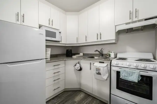 Loft à louer Sainte-Foy / Sillery septembre 2026 in Long Term Rentals in Lévis - Image 2