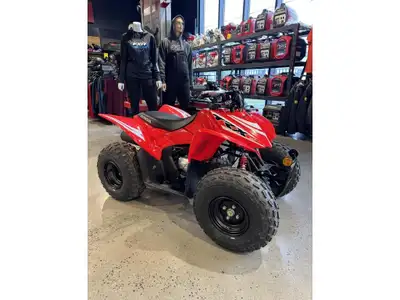 2025 Honda TRX 90X 1 cylindres, Essence, Système de refroidissement: Refroidi à l'air, Nombre de pas...