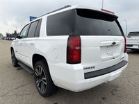 AMVIC Licensed Dealer Looking for a robust partner for your daily adventures and rigorous demands? M... (image 5)