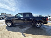 AMVIC Licensed Dealer * Trailer Tow Pkg * XTR Pkg * Chrome Assist Steps * Cruise Control * Remote Ke... (image 4)
